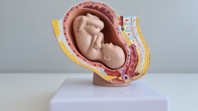 jucării sexuale sarcină