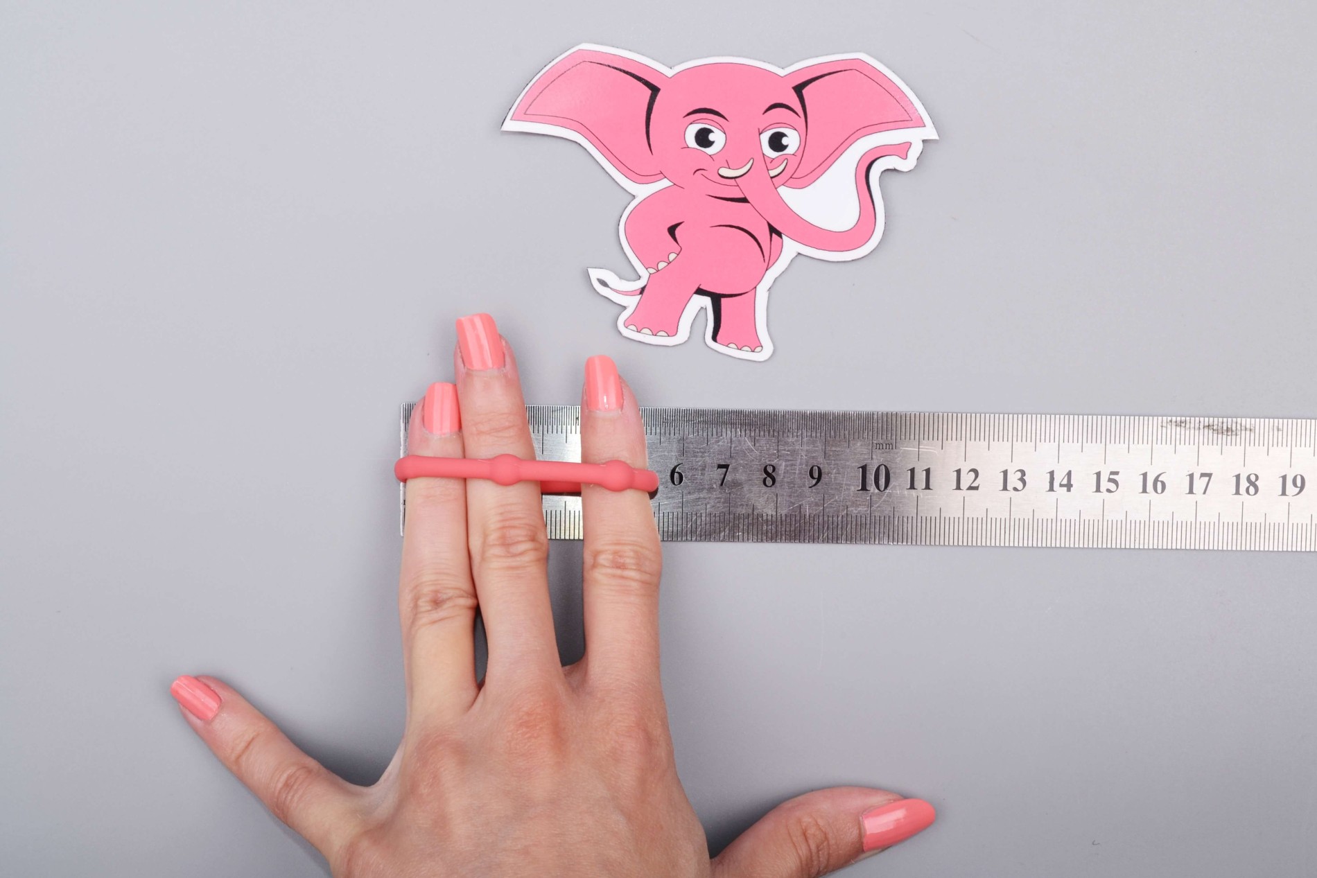 Inele de erecție Elephant Rings, dimensiuni
