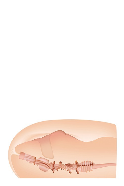 ZERO TOLERANCE SASHA GREY STROKER CULOAREA CĂRNII