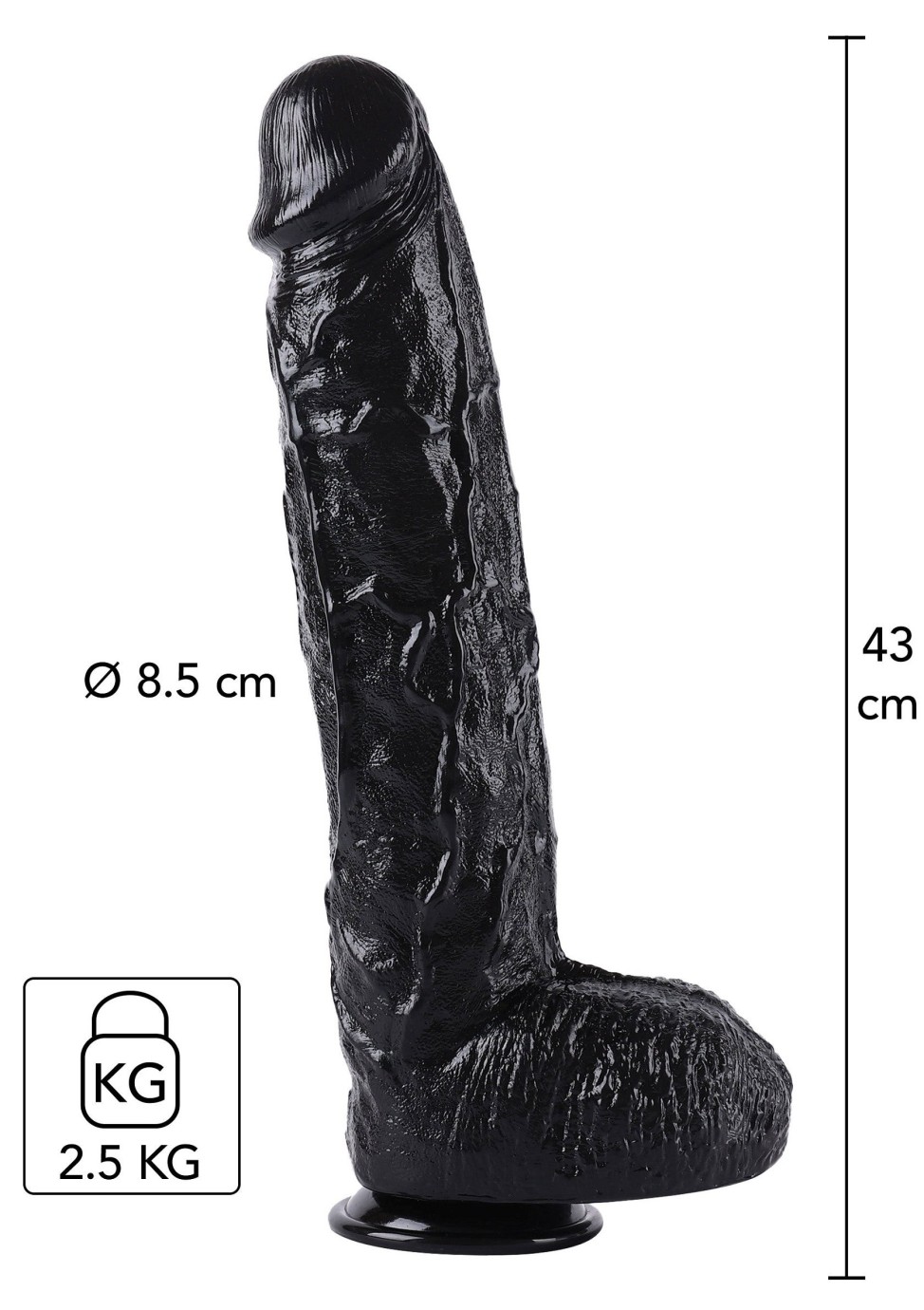 Dong 43 cm