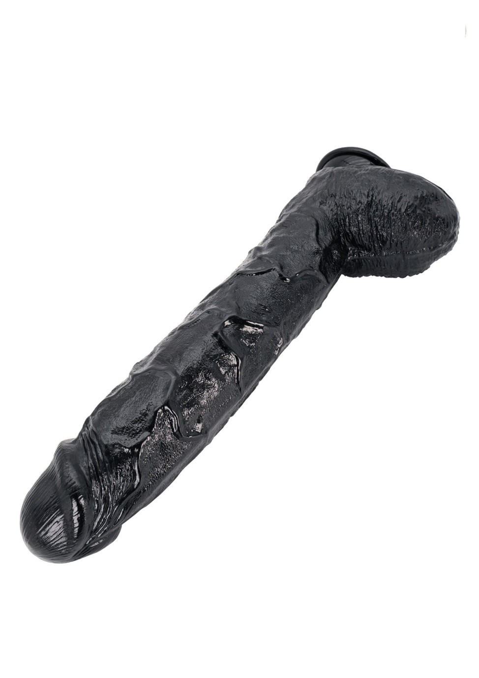 Dong 43 cm