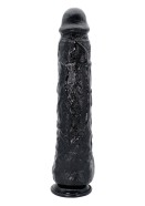 Dong 43 cm