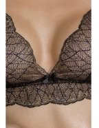 Pasiune complet Amberly