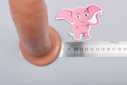 Dildo realist Hot Stud (18 cm), dimensiuni