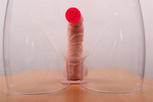 Dildo din silicon cu ventuză și testicule (20cm) - în trunchi