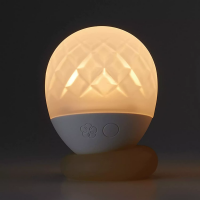 Glowing Massage Vibrator Tenga Iroha Ukidama